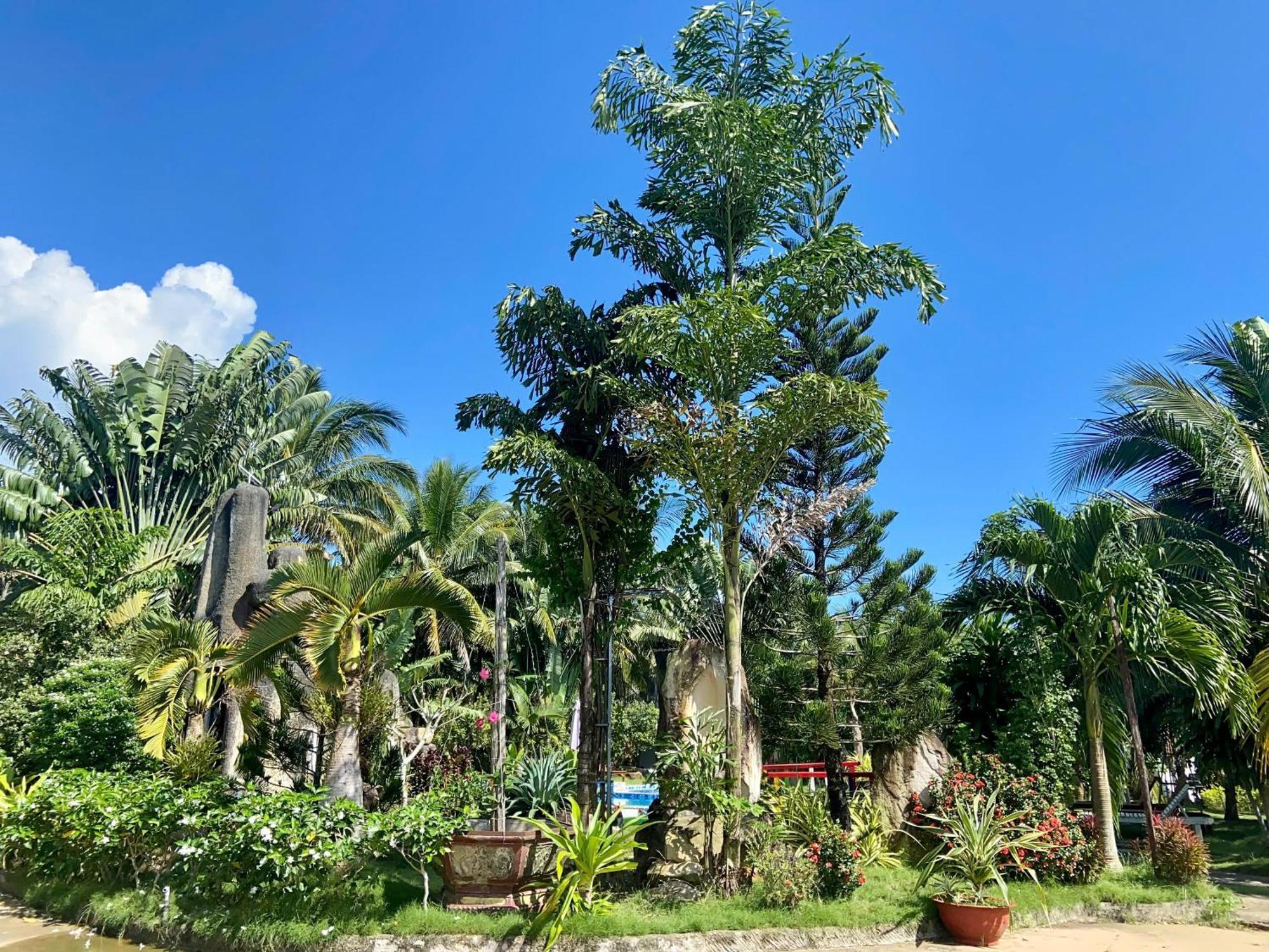Y Nghia Bungalow Ong Lang Phu Quoc Extérieur photo