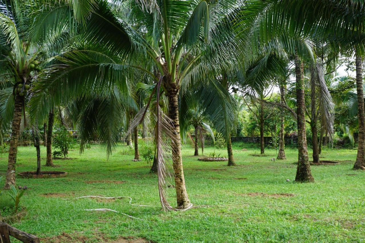 Y Nghia Bungalow Ong Lang Phu Quoc Extérieur photo